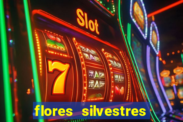 flores silvestres desbravadores desbravadores 25